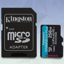 Memoria MicroSD kingston Canvas GO PLUS 256GB