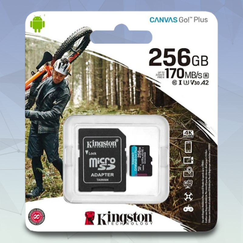 Memoria MicroSD kingston Canvas GO PLUS 256GB